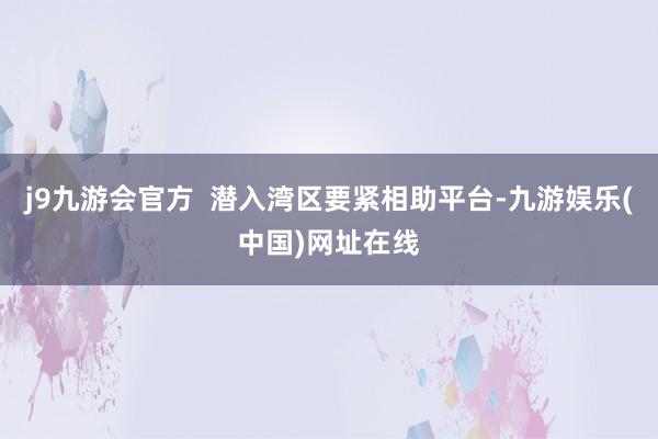 j9九游会官方  潜入湾区要紧相助平台-九游娱乐(中国)网址在线